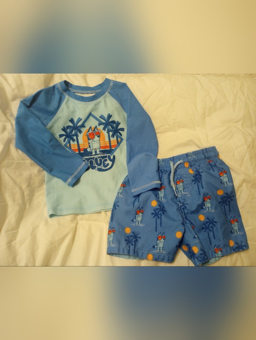 Bluey Blue Swim Set Rash Guard And Swim Trunks Size 2T